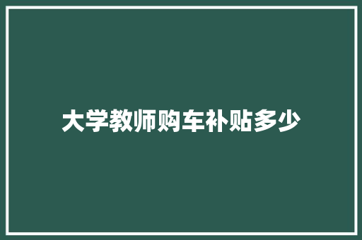 大学教师购车补贴多少