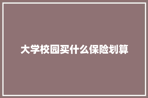 大学校园买什么保险划算 未命名