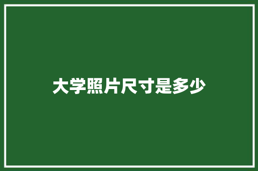 大学照片尺寸是多少