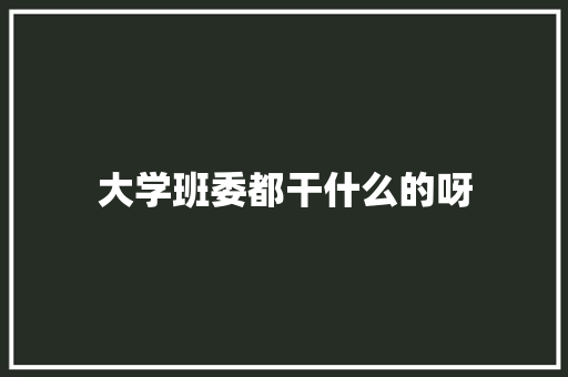 大学班委都干什么的呀