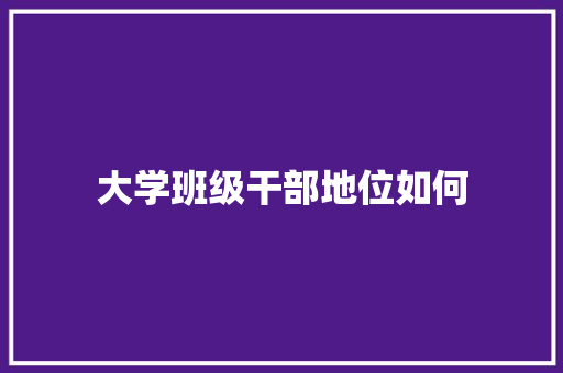 大学班级干部地位如何