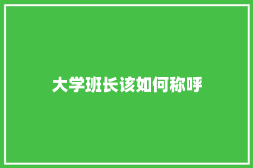 大学班长该如何称呼 未命名