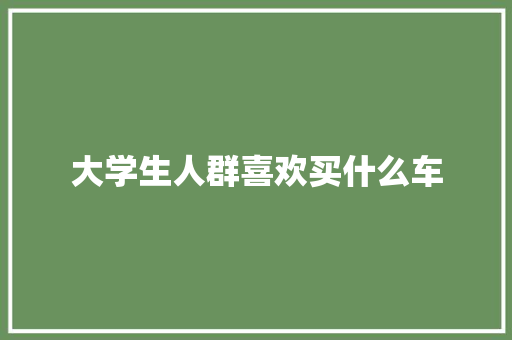 大学生人群喜欢买什么车