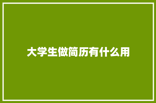 大学生做简历有什么用 未命名