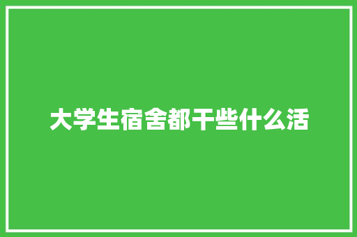 大学生宿舍都干些什么活 未命名