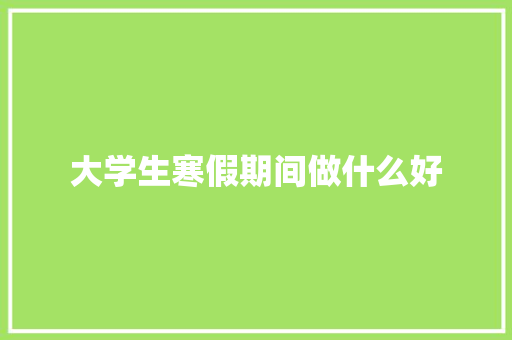 大学生寒假期间做什么好