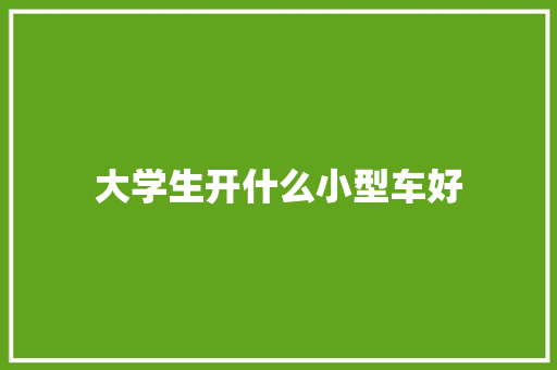 大学生开什么小型车好 未命名