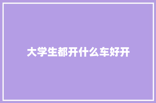 大学生都开什么车好开