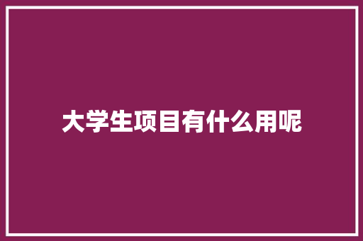 大学生项目有什么用呢 未命名