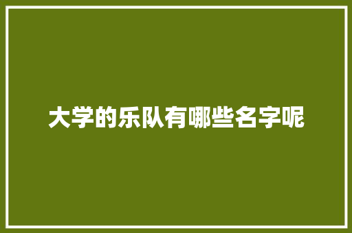 大学的乐队有哪些名字呢