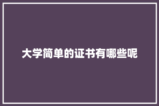 大学简单的证书有哪些呢