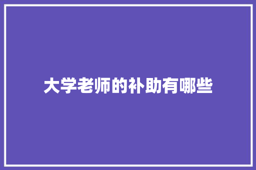 大学老师的补助有哪些