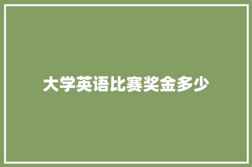 大学英语比赛奖金多少