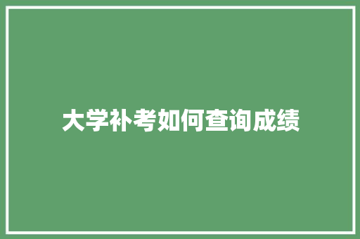 大学补考如何查询成绩