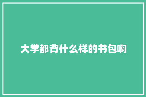 大学都背什么样的书包啊 未命名