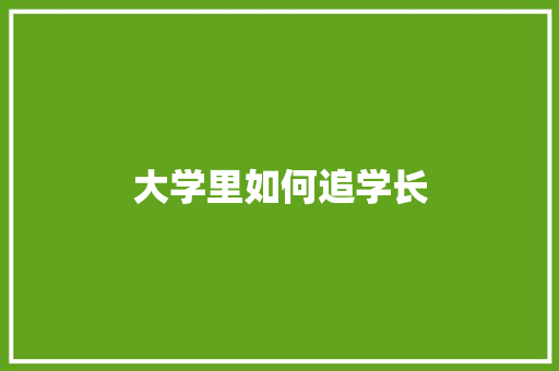 大学里如何追学长