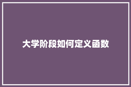 大学阶段如何定义函数