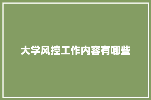 大学风控工作内容有哪些 未命名