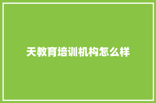 天教育培训机构怎么样