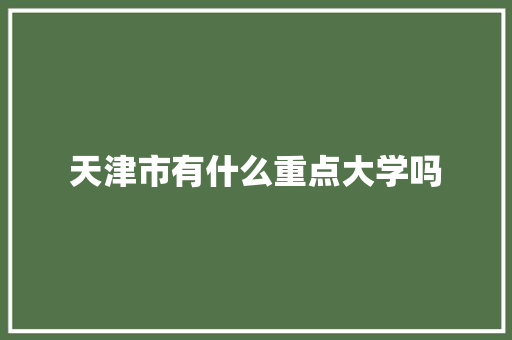 天津市有什么重点大学吗