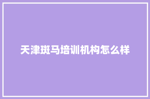 天津斑马培训机构怎么样 未命名