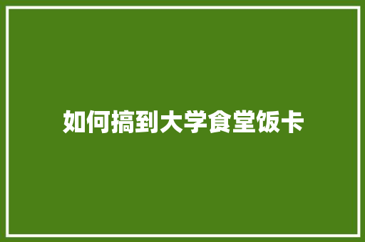 如何搞到大学食堂饭卡