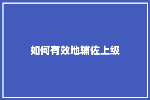 如何有效地辅佐上级 未命名