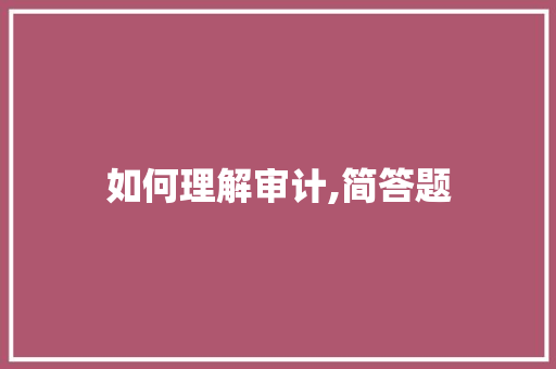 如何理解审计,简答题 未命名