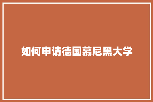 如何申请德国慕尼黑大学 未命名