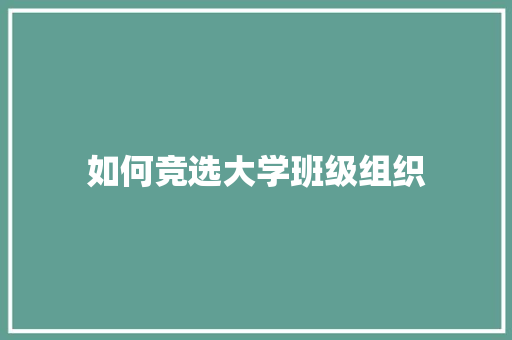 如何竞选大学班级组织