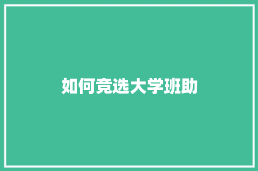 如何竞选大学班助