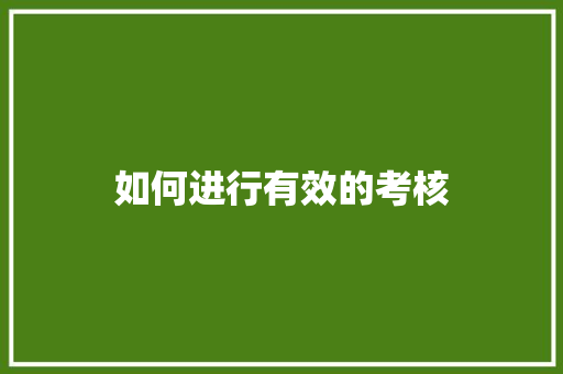 如何进行有效的考核