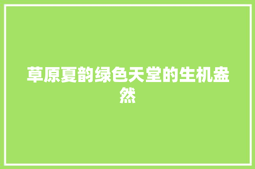 草原夏韵绿色天堂的生机盎然