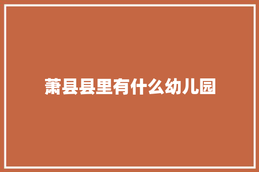 萧县县里有什么幼儿园