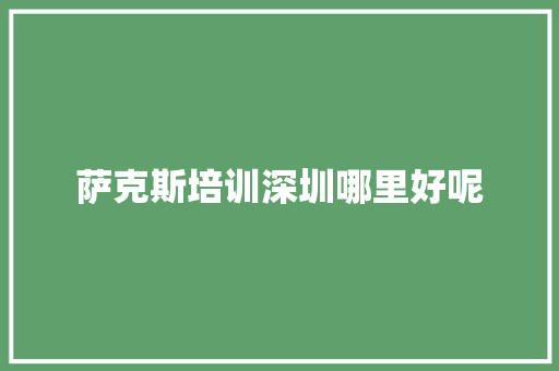 萨克斯培训深圳哪里好呢 未命名