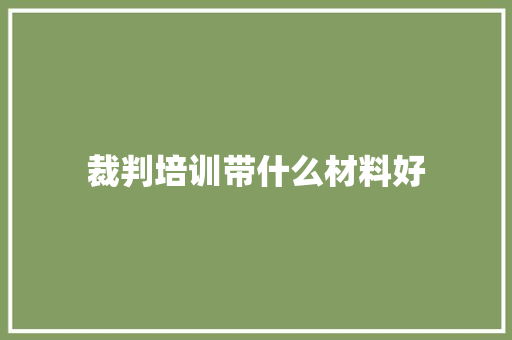 裁判培训带什么材料好