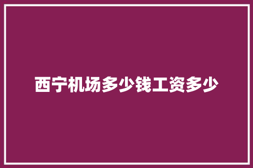 西宁机场多少钱工资多少 未命名