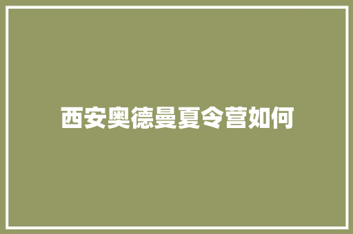 西安奥德曼夏令营如何