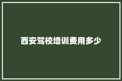 西安驾校培训费用多少 未命名