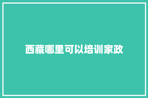 西藏哪里可以培训家政