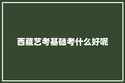 西藏艺考基础考什么好呢