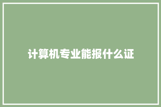 计算机专业能报什么证 未命名