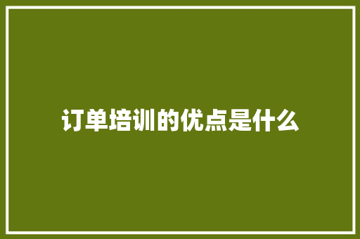 订单培训的优点是什么 未命名