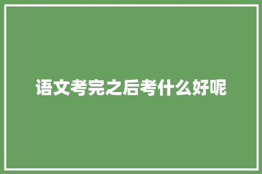 语文考完之后考什么好呢 未命名