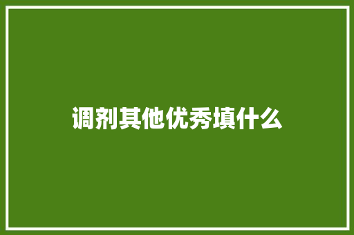 调剂其他优秀填什么