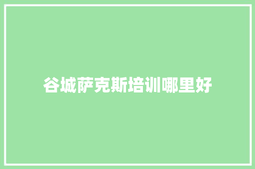 谷城萨克斯培训哪里好