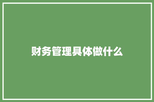 财务管理具体做什么 未命名