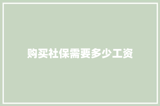 购买社保需要多少工资 未命名