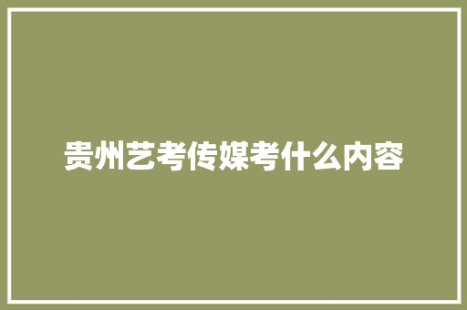 贵州艺考传媒考什么内容 未命名