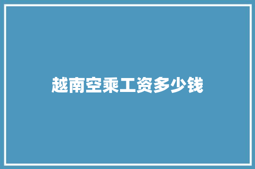 越南空乘工资多少钱 未命名